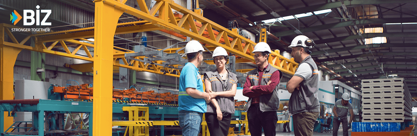 BİZ at Kibar Success