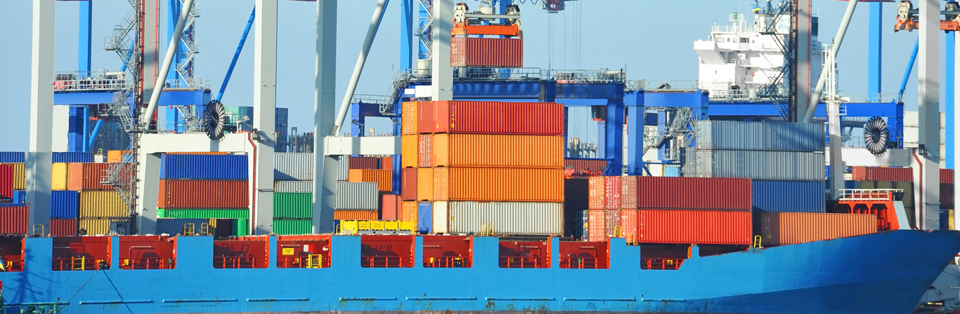 grup sirketleri kibar dis ticaret a s