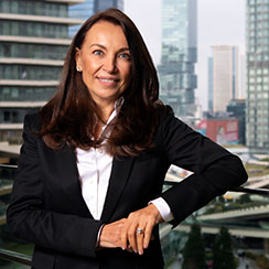 yonetim kurulu kibar holding yonetim kurulu kibar holding