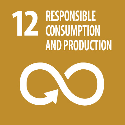 Responsible Consumption and Production