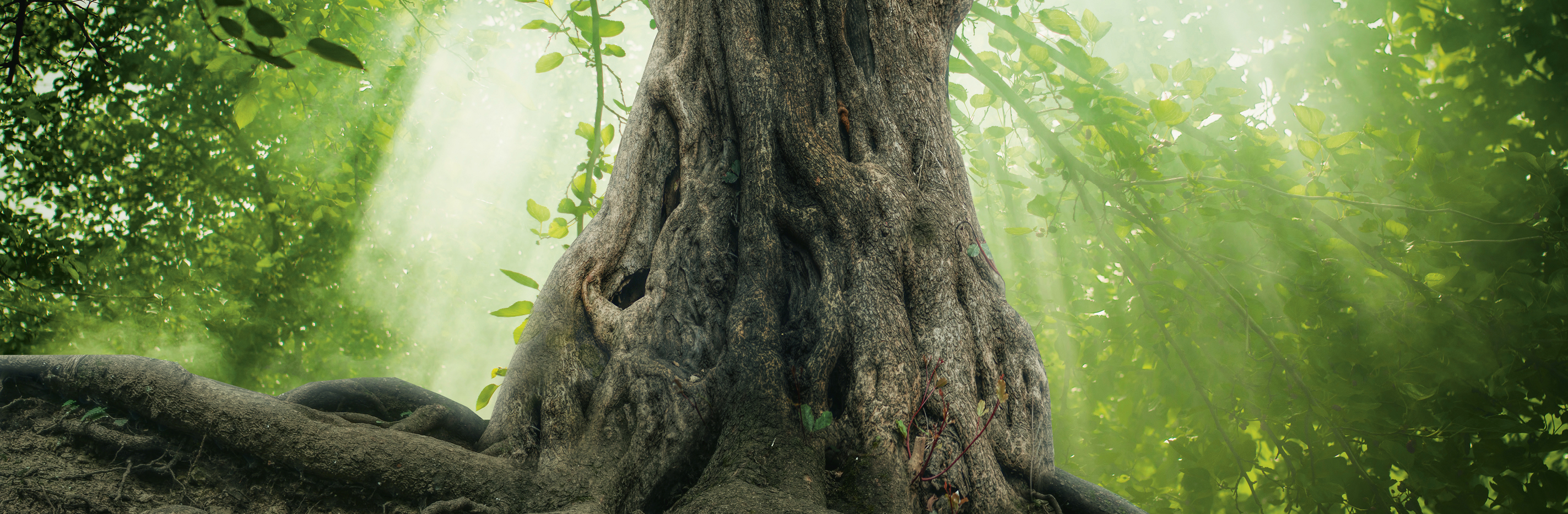 Gelecek nesillleri ÖNEMSİYORUZ