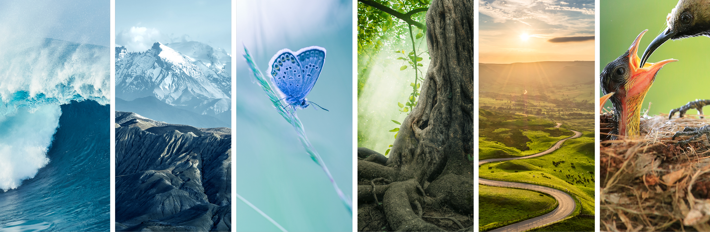 Kibar Grubunda Sürdürülebilirlik 