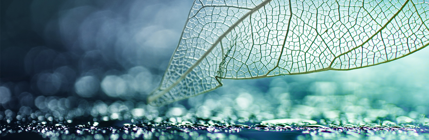 Sürdürülebilirlik Yaklaşımı