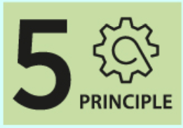 Principle 5