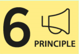 Principle 6